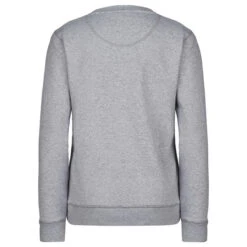 FRILUFTS OMAUI PRINTED SWEATER Damen Sweatshirt SMOKED PEARL SEAGULL CLASSIC -Camping Verkauf 5638042622 c omaui printed sweater frilufts 24